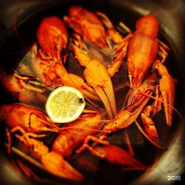 Отзывы на компанию Royal Raki в Ростове-на-Дону c фото