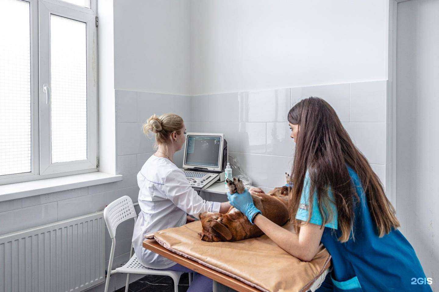 Отзывы на компанию Любимый носик в Балашихе c фото