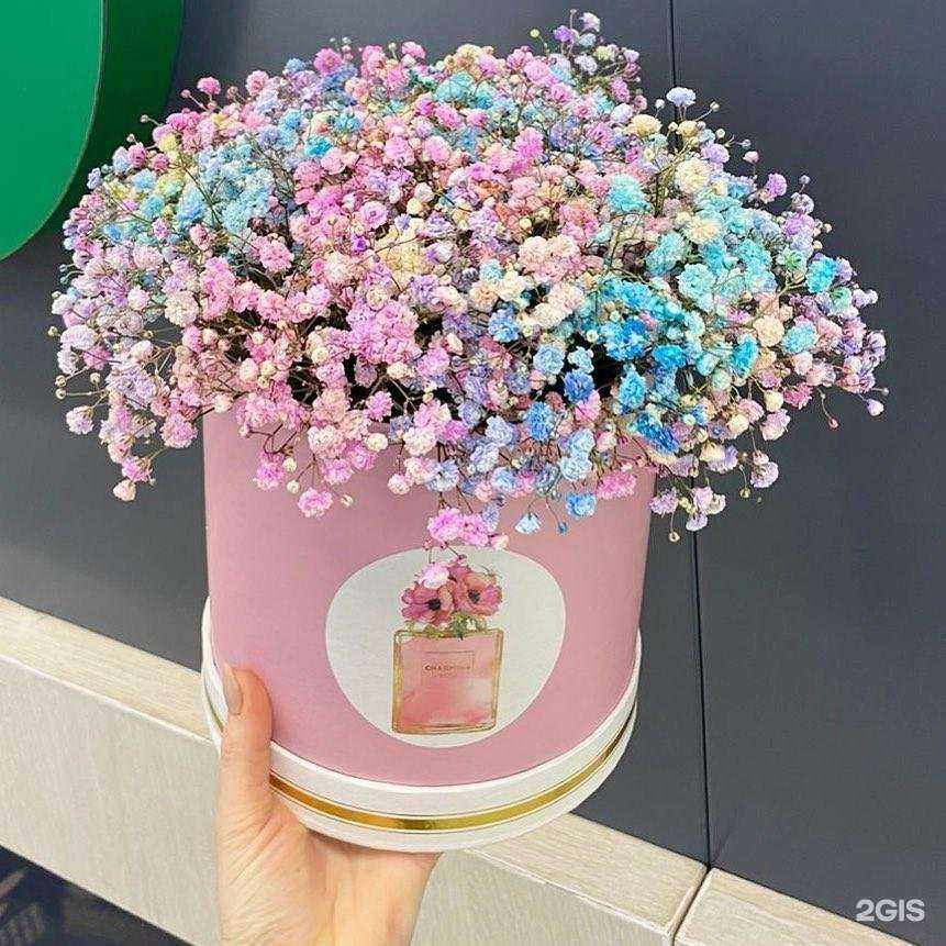 Отзывы на компанию Московский цветочный комплекс в г. Апрелевка c фото