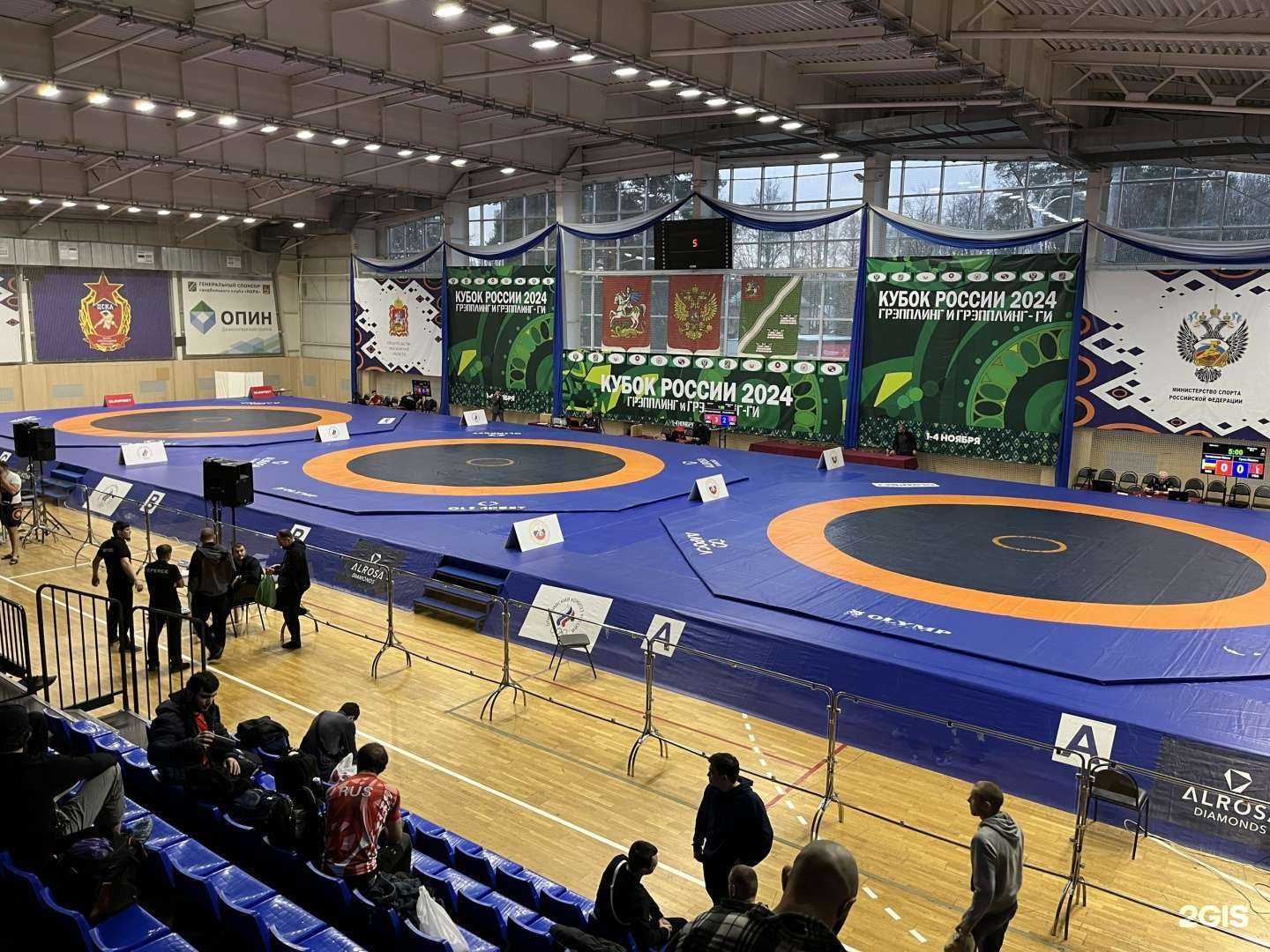 Отзывы на компанию Academy в г. Томск c фото