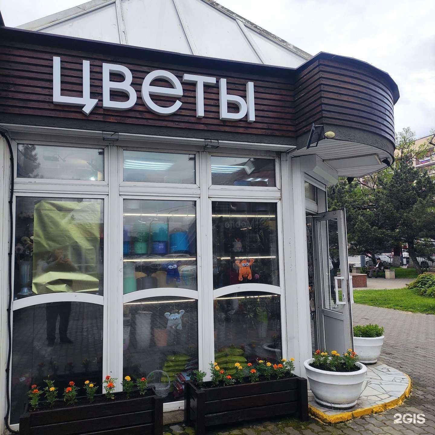 Отзывы на компанию Цветы-Монро в Новороссийске c фото