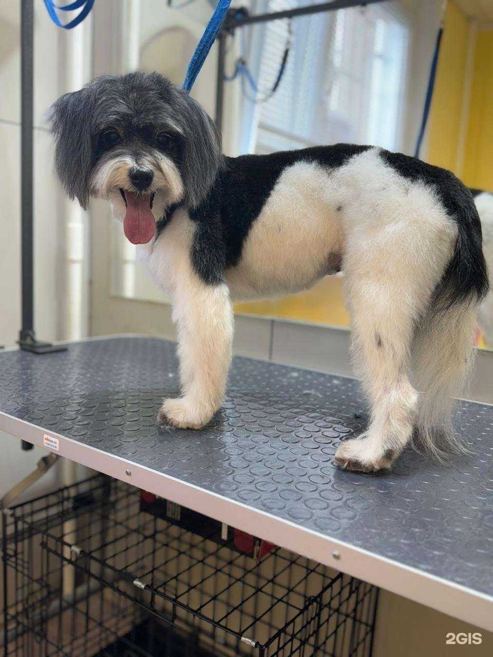 Отзывы на компанию Happy Groom в Химках c фото