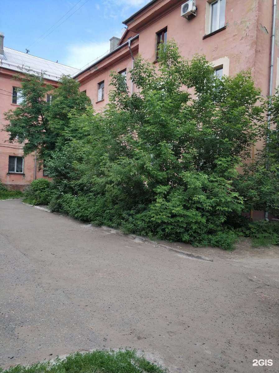 Отзывы на компанию КлиНИКа в Омске c фото - фотография 2 из 2