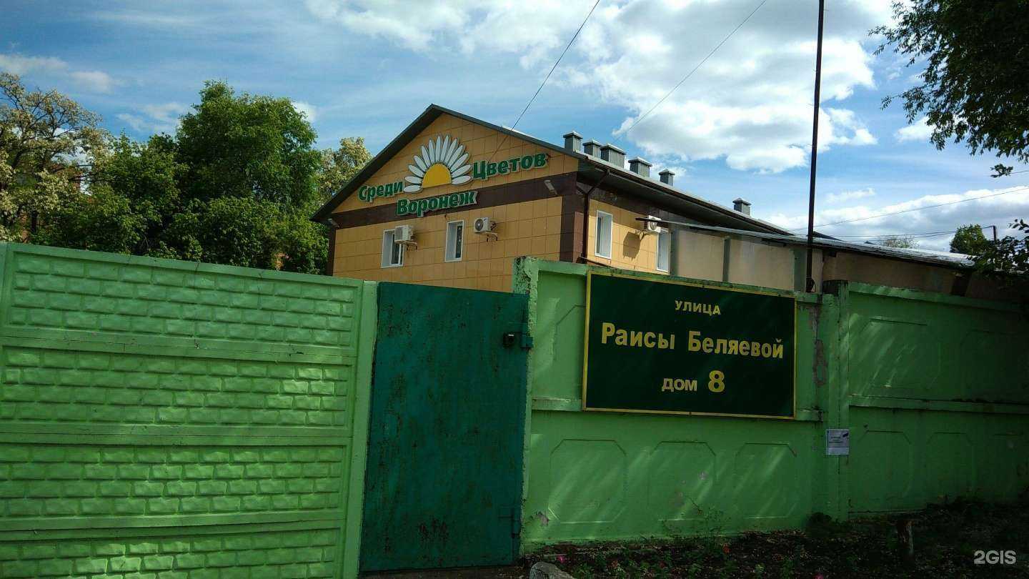 Отзывы на компанию Планета Садовода в Воронеже c фото - фотография 2 из 2