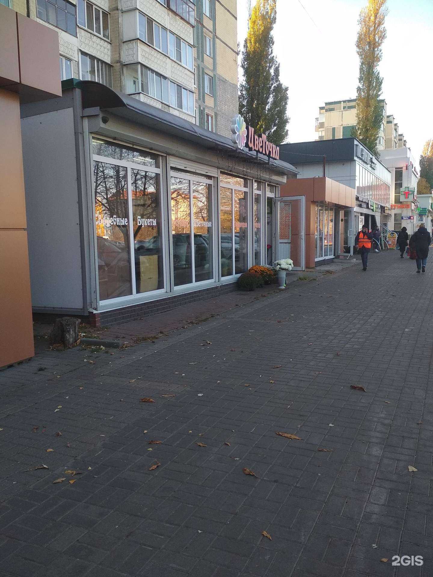 Отзывы на компанию Цветочка в Белгороде c фото