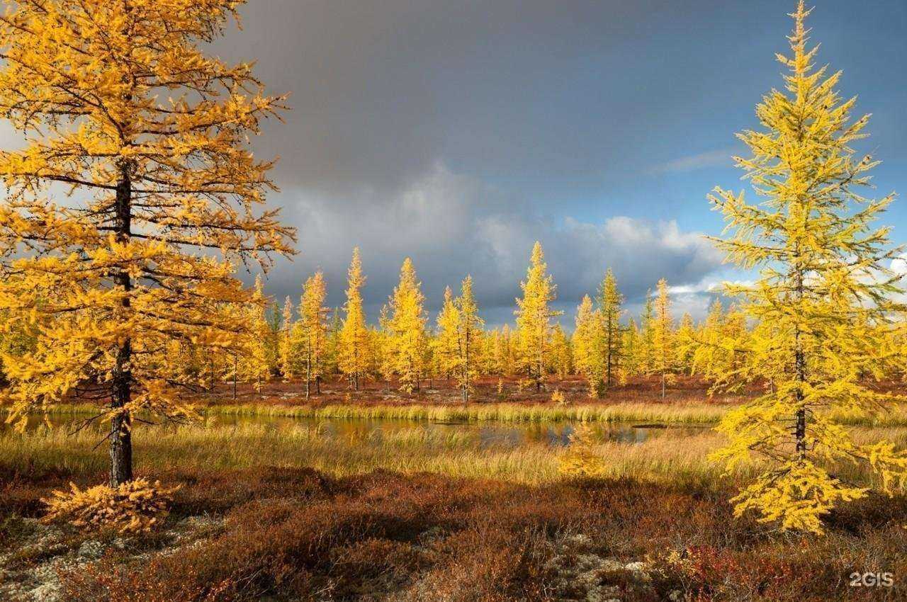 Отзывы на компанию Гимназия №13 в г. Новосибирск c фото