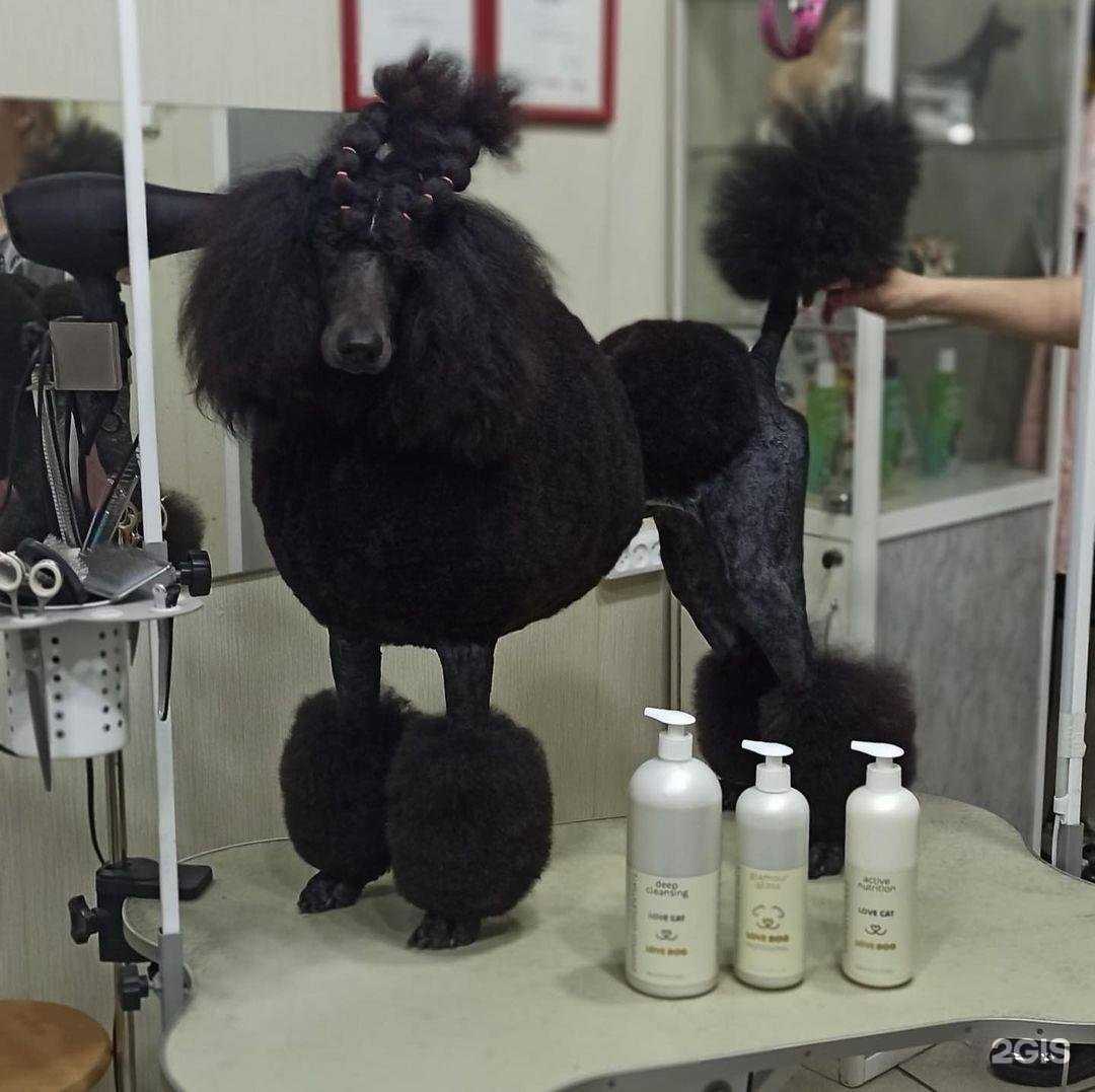 Отзывы на компанию Prolapki в Уфе c фото