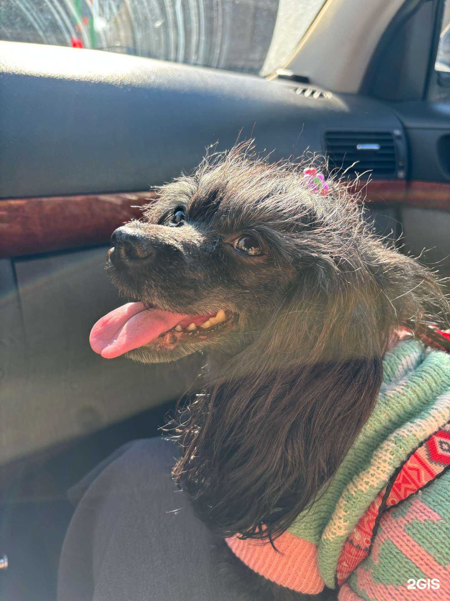 Отзывы на компанию GroomLight в Челябинске c фото