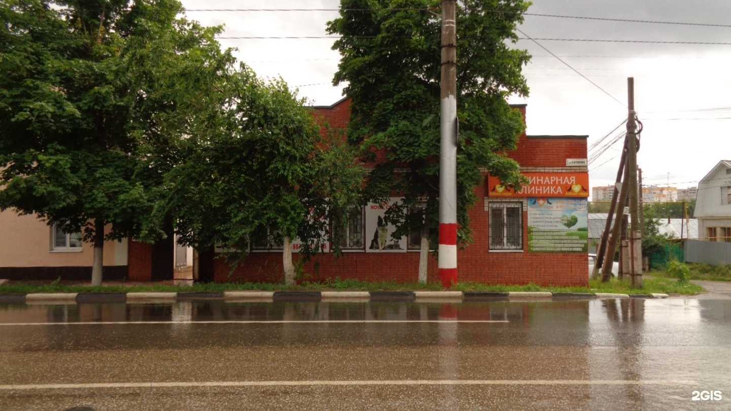 Отзывы на компанию Львиное сердце в Энгельсе c фото - фотография 2 из 2