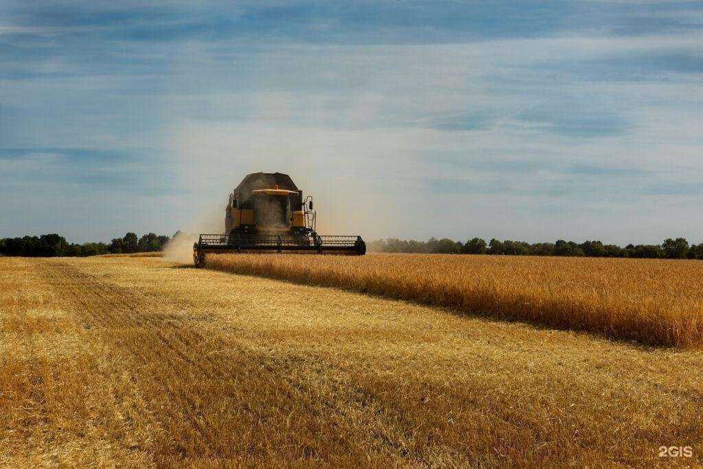 Отзывы на компанию Агростемма в г. Воронеж c фото