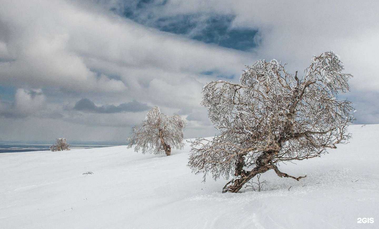 Отзывы на компанию Инджой Камчатка в Петропавловске-Камчатском c фото