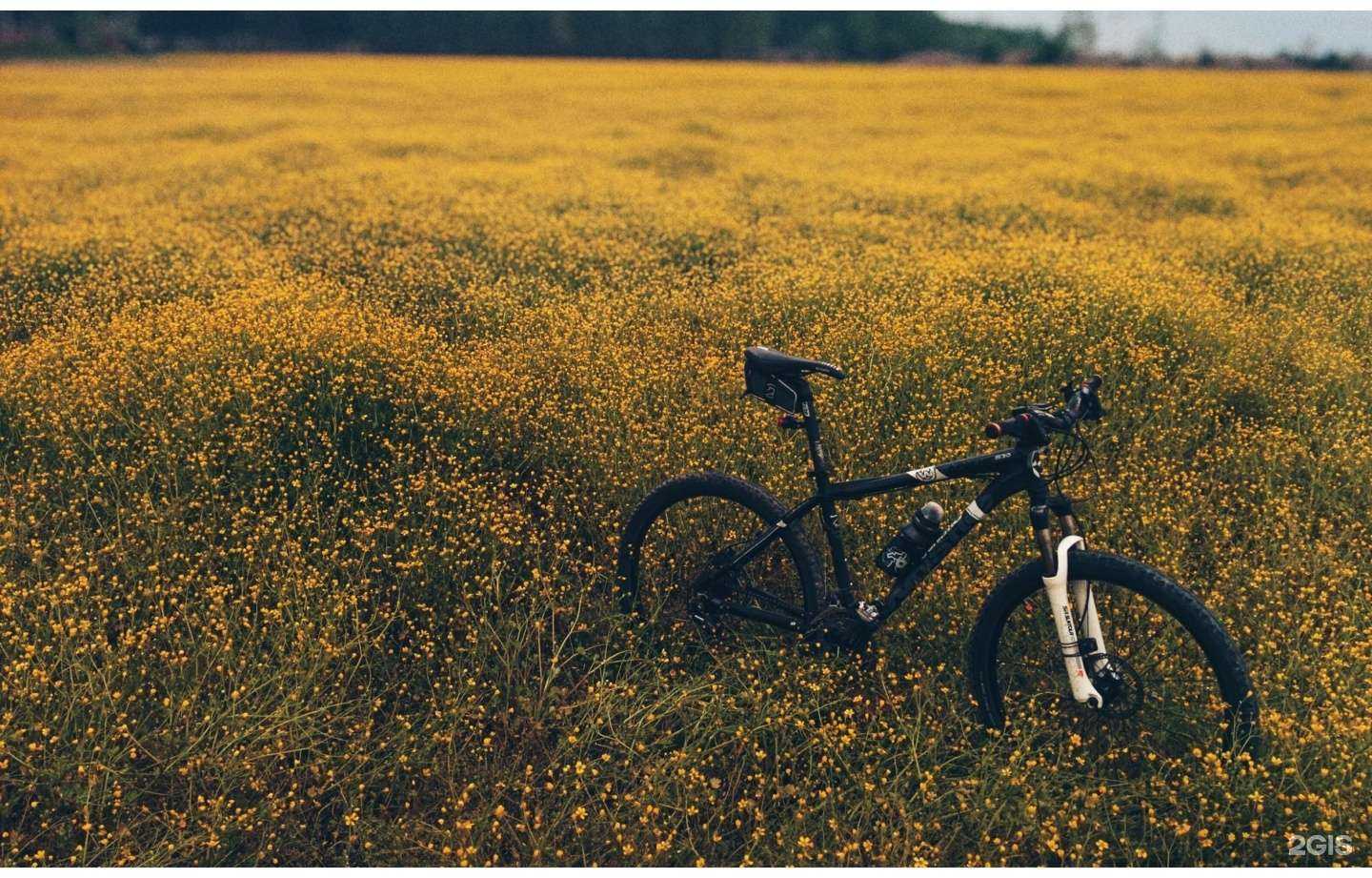 Отзывы на компанию Велокони в г. Сочи c фото