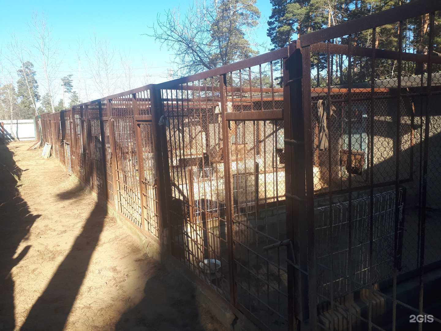 Отзывы на компанию Учебно-кинологический центр в Чите c фото