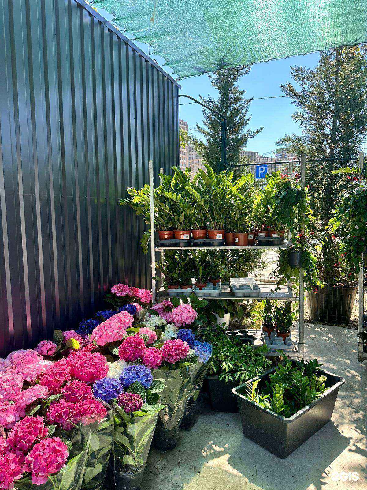 Отзывы на компанию Крокус в г. Краснодар c фото