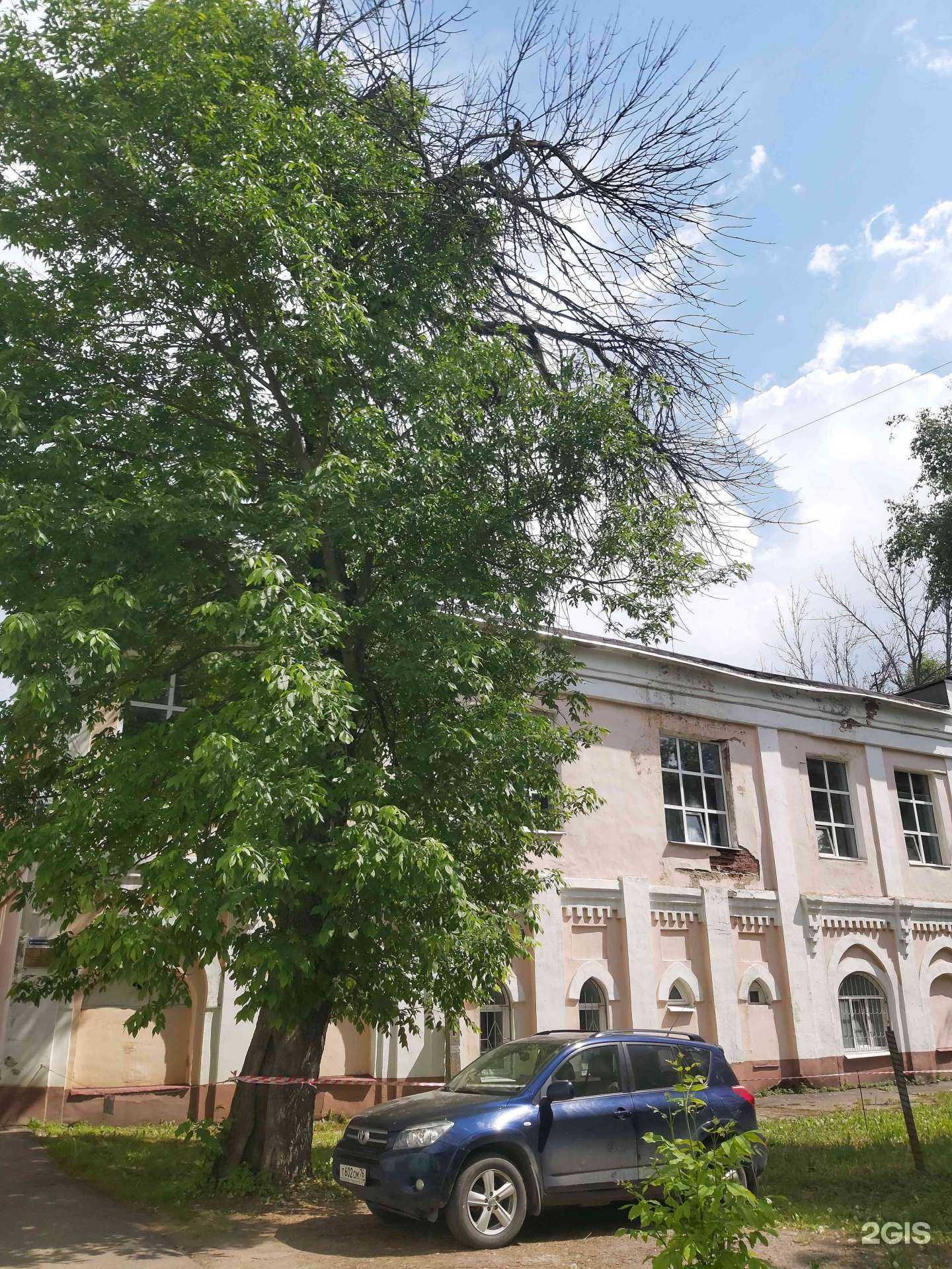 Отзывы на компанию СШОР №20 в Ярославле c фото - фотография 2 из 2