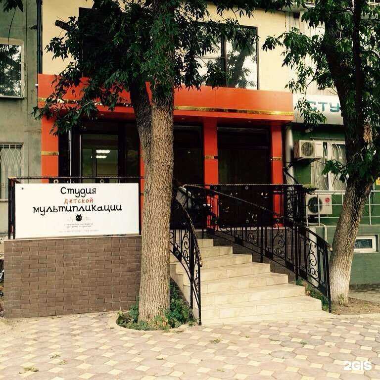 Отзывы на компанию Кот в Махачкале c фото