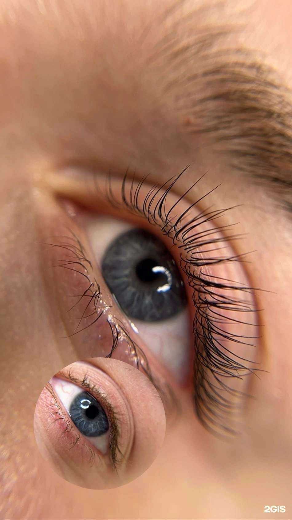 Отзывы на компанию Lisakukla в Волгограде c фото