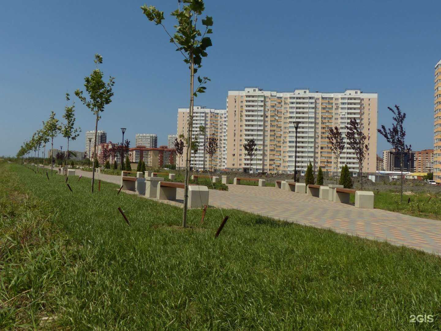 Отзывы на компанию Трезвый Водитель в Анапе c фото - фотография 2 из 2