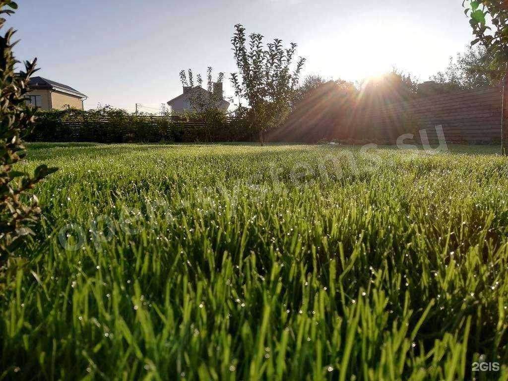 Отзывы на компанию Открытые системы в Воронеже c фото