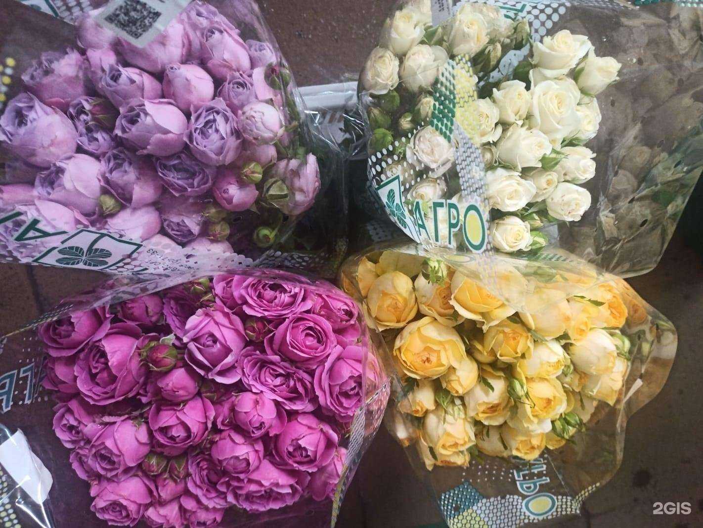 Отзывы на компанию Юг-Агро в Ставрополе c фото