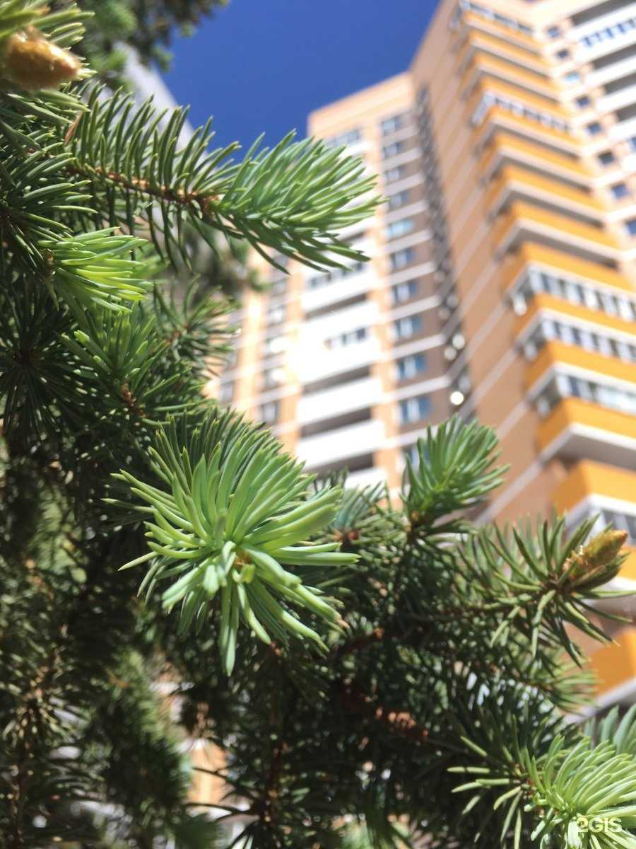 Отзывы на компанию СпецМонтаж в Ижевске c фото - фотография 2 из 2