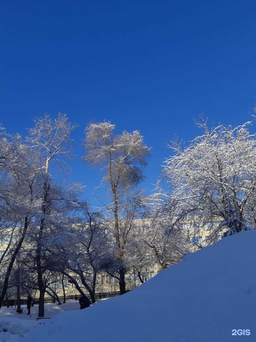 Отзывы на компанию Лицей №28 в г. Новосибирск c фото