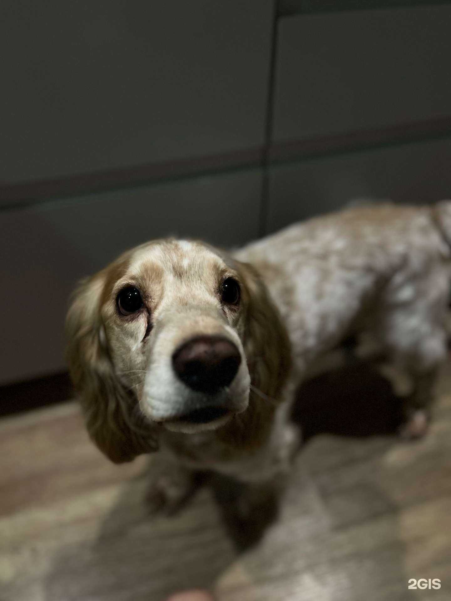 Отзывы на компанию ЧарлиОн в г. Тюмень c фото