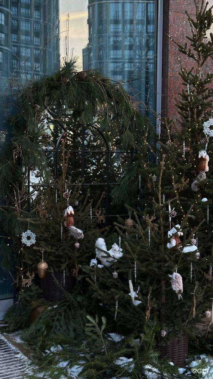 Отзывы на компанию Theatre of flowers в Екатеринбурге c фото