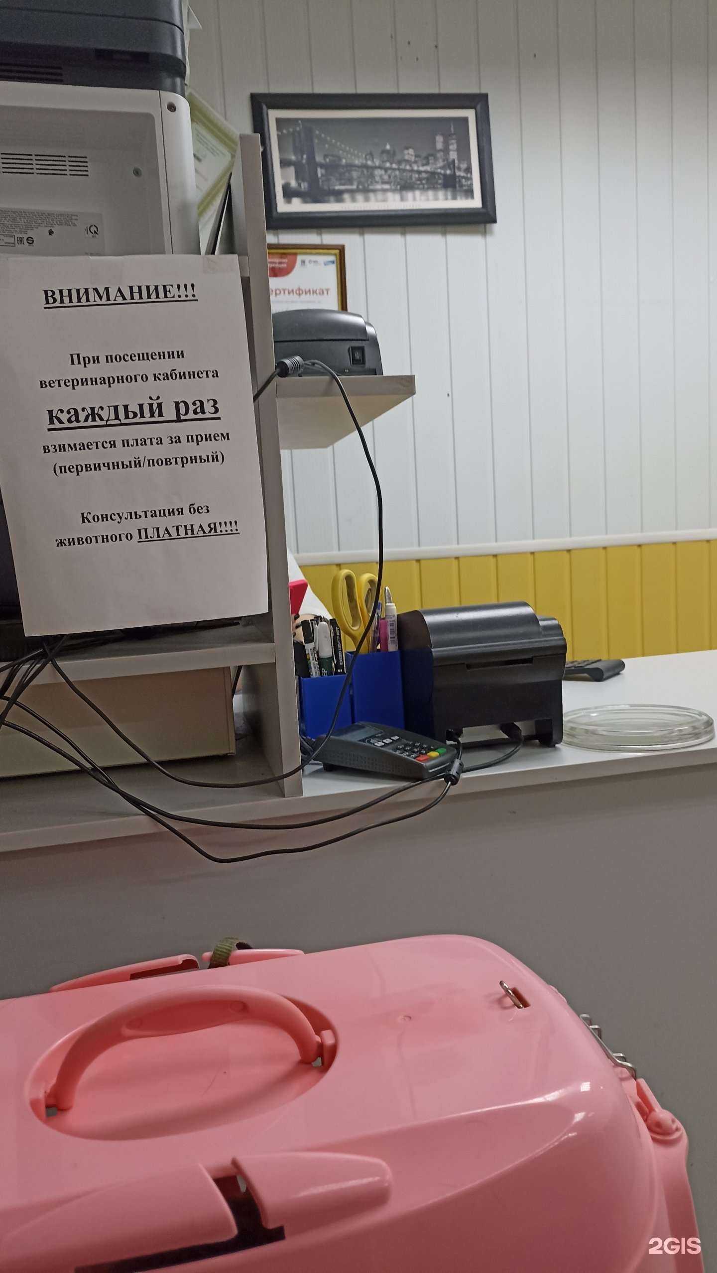 Отзывы на компанию Хэппи Энимал в Вологде c фото