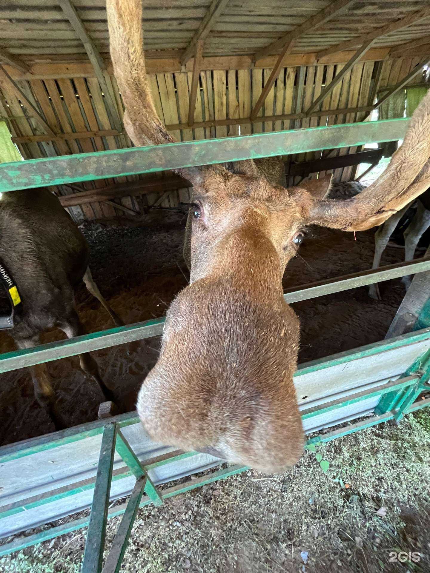 Отзывы на компанию Дельта в г. Новый Уренгой c фото