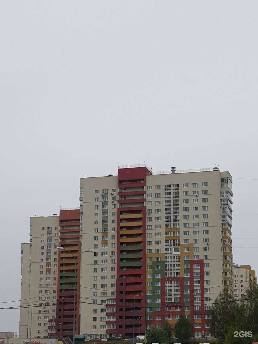 Отзывы на компанию Планета спорта в Нижнем Новгороде c фото - фотография 2 из 2