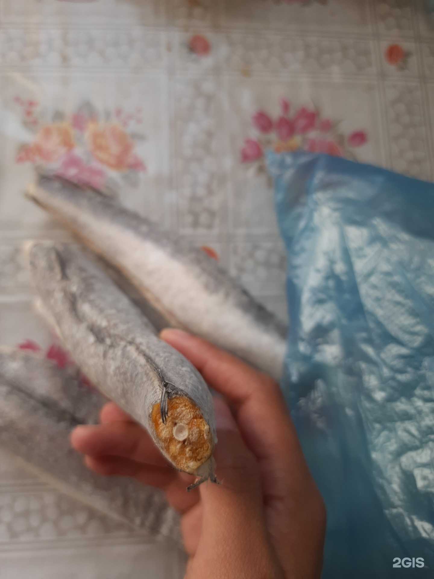 Отзывы на компанию Рыбный мир 55 в Омске c фото