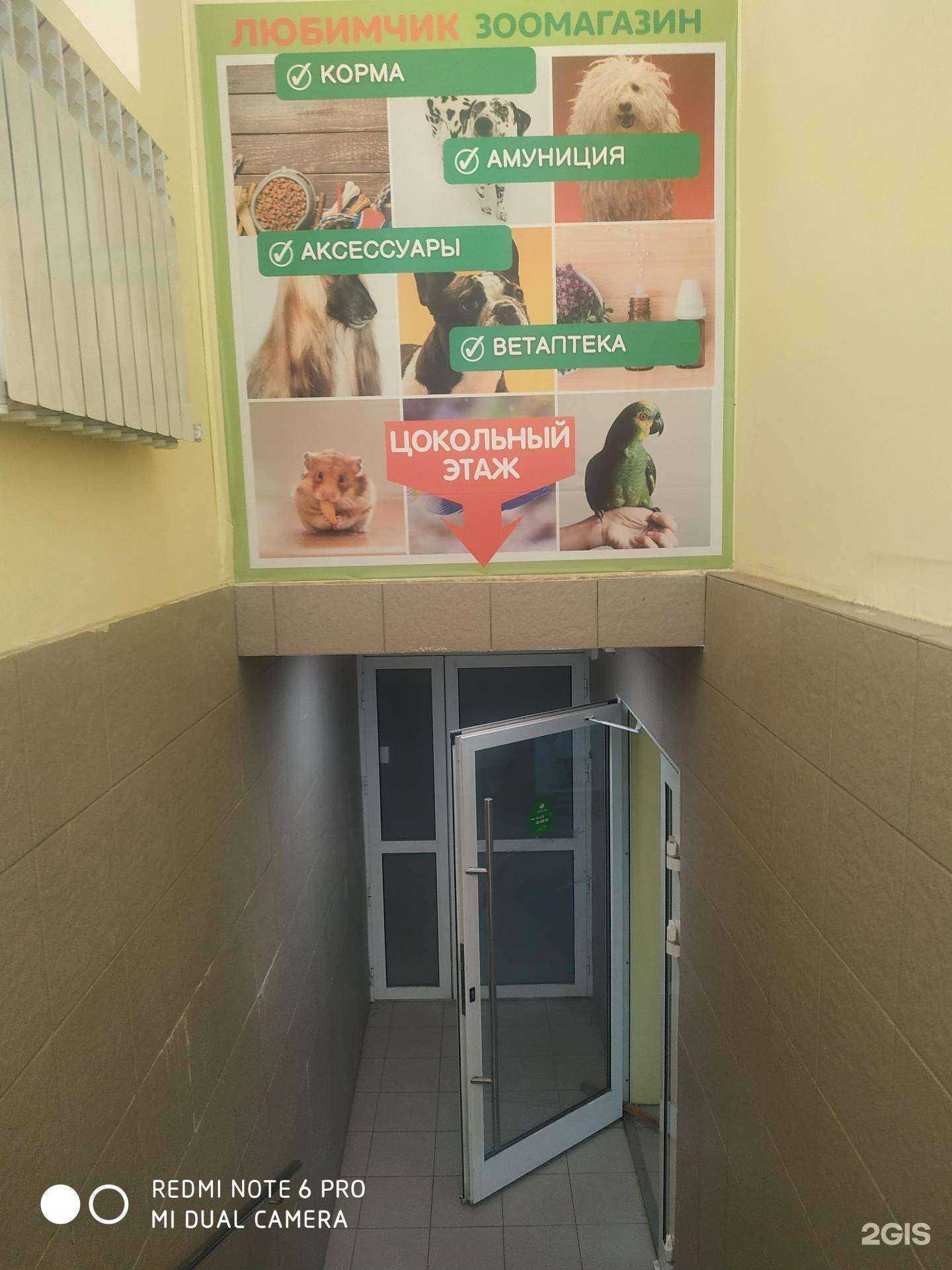 Отзывы на компанию Любимчик в Новокуйбышевске c фото