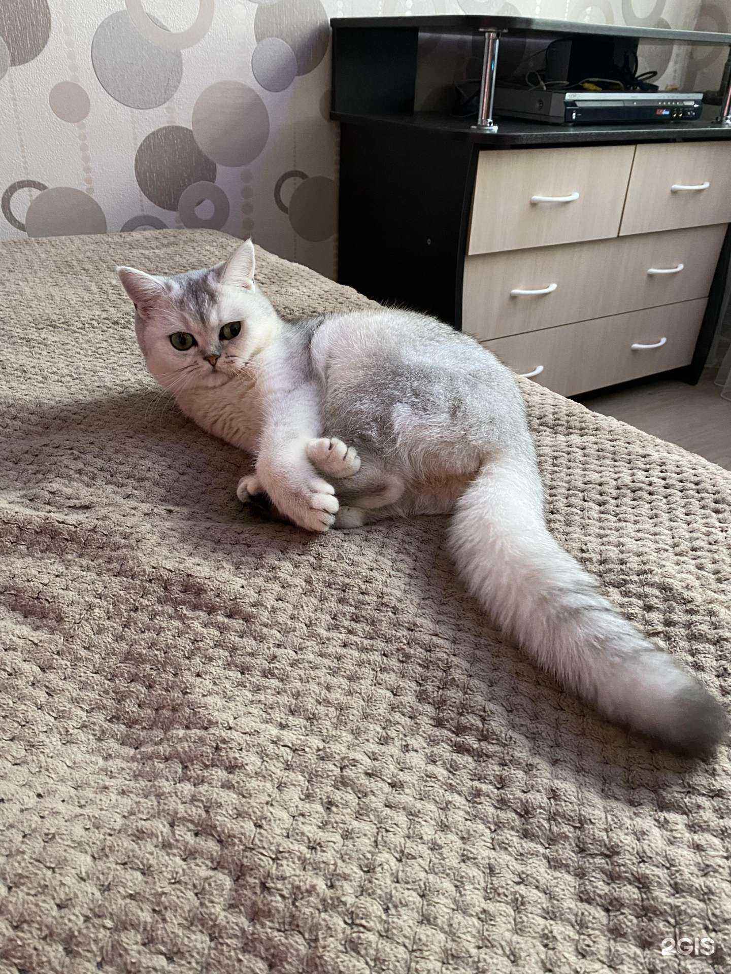 Отзывы на компанию Ветеринарный кабинет Бабкиных в Екатеринбурге c фото