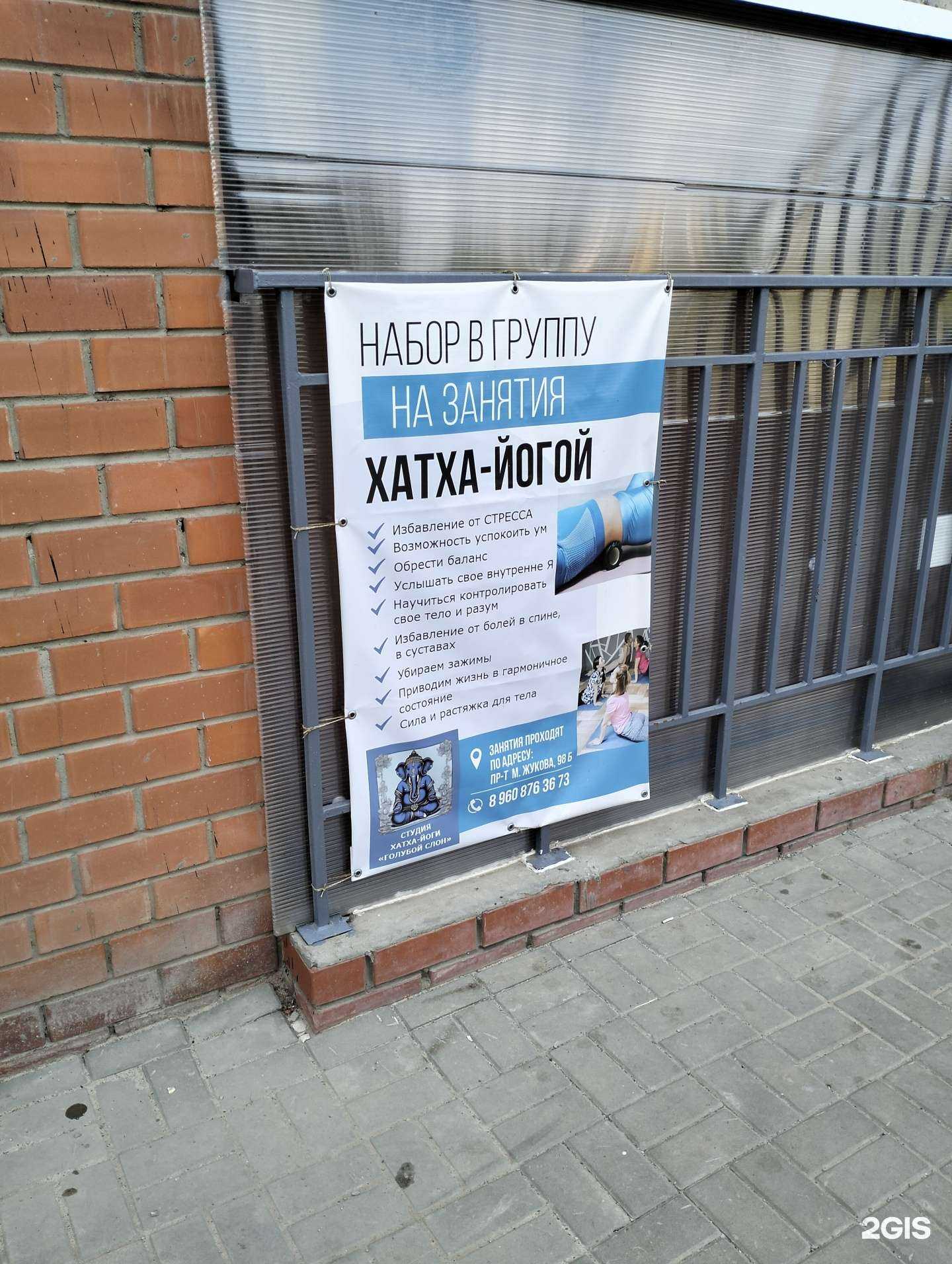 Отзывы на компанию Голубой слон в г. Волгоград c фото