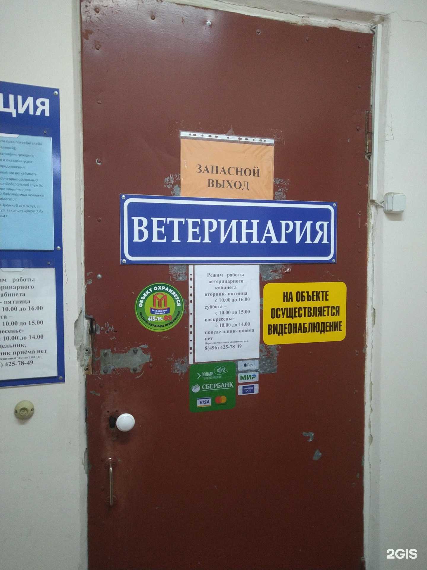 Отзывы на компанию Ветеринарный кабинет в г. Орехово-Зуево c фото