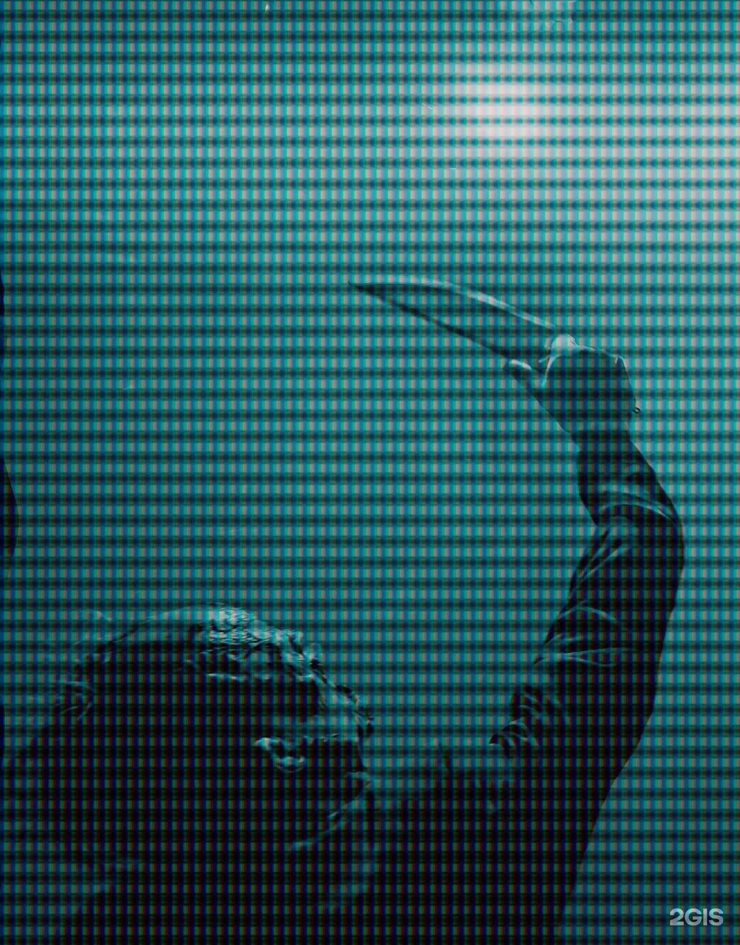 Отзывы на компанию За гранью в Рязани c фото