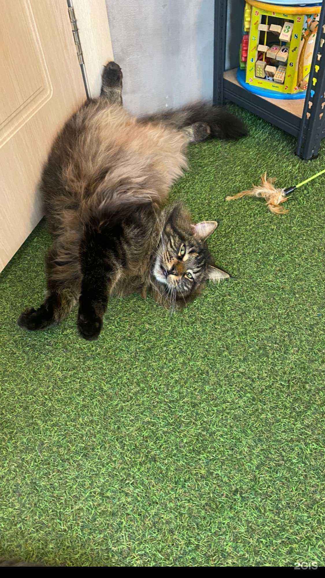 Отзывы на компанию Студия биомеханики Кристины Машуковой в г. Иркутск c фото