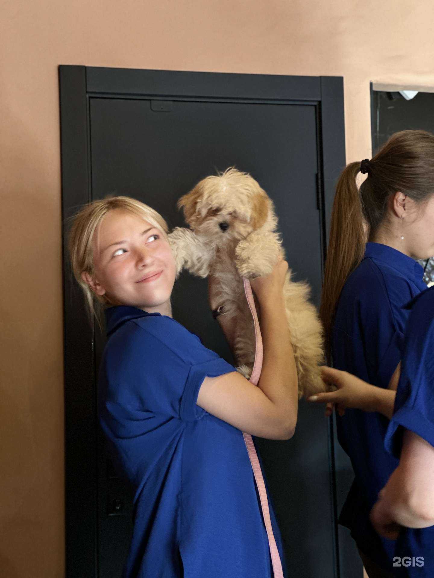 Отзывы на компанию Полли в Владимире c фото