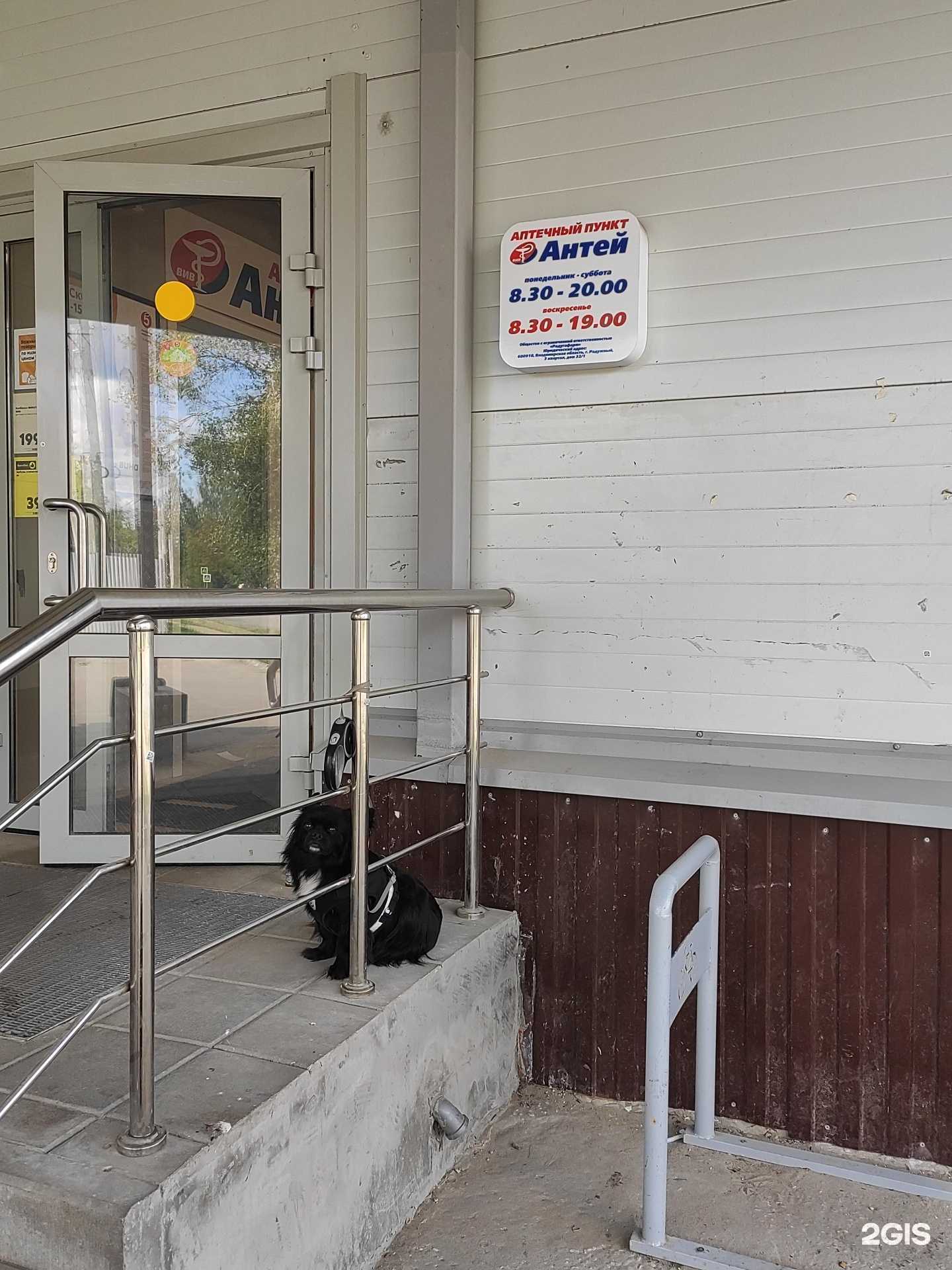 Отзывы на компанию Антей в Коврове c фото