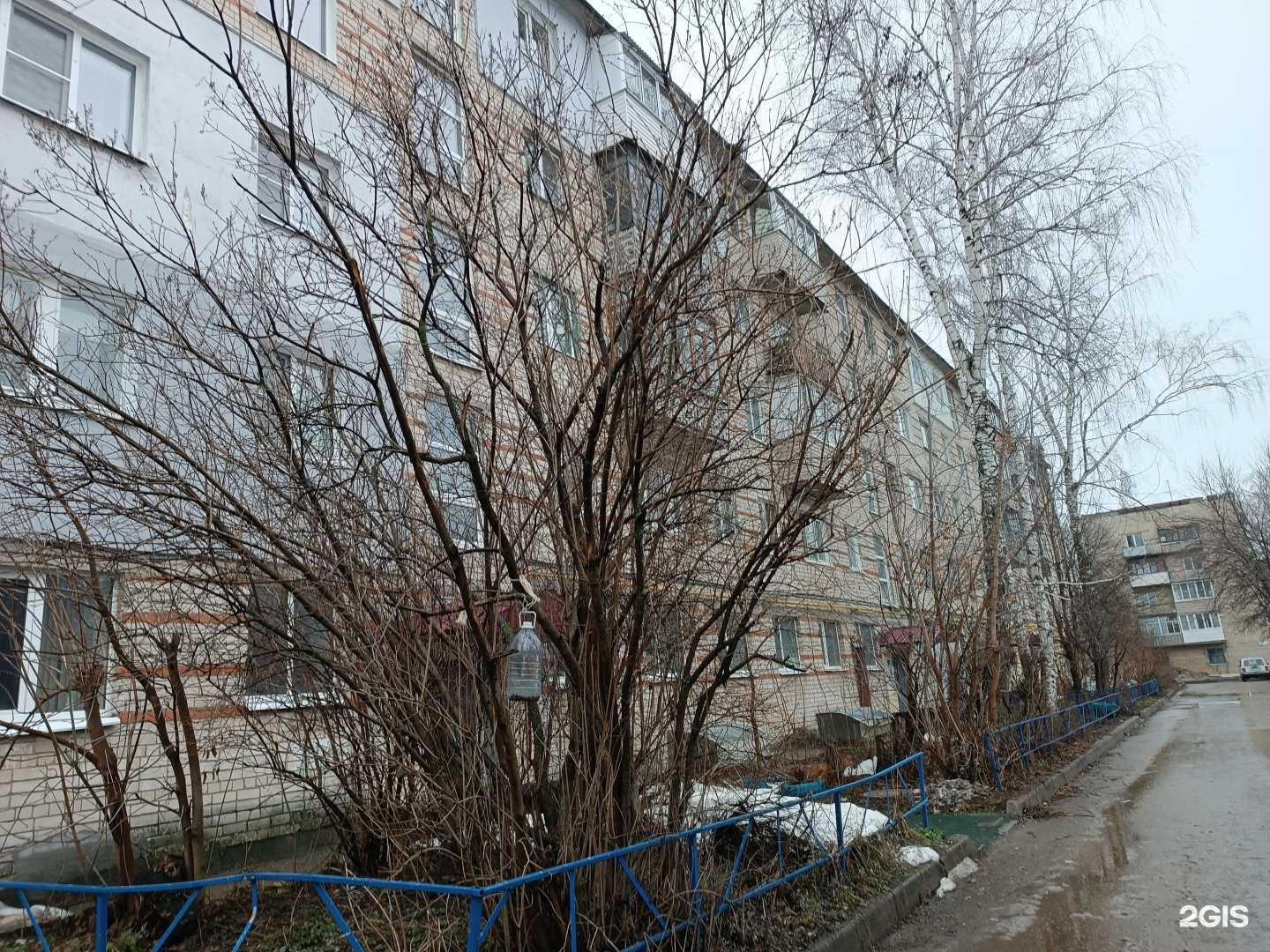 Отзывы на компанию Сингитай в Кстове c фото - фотография 2 из 2