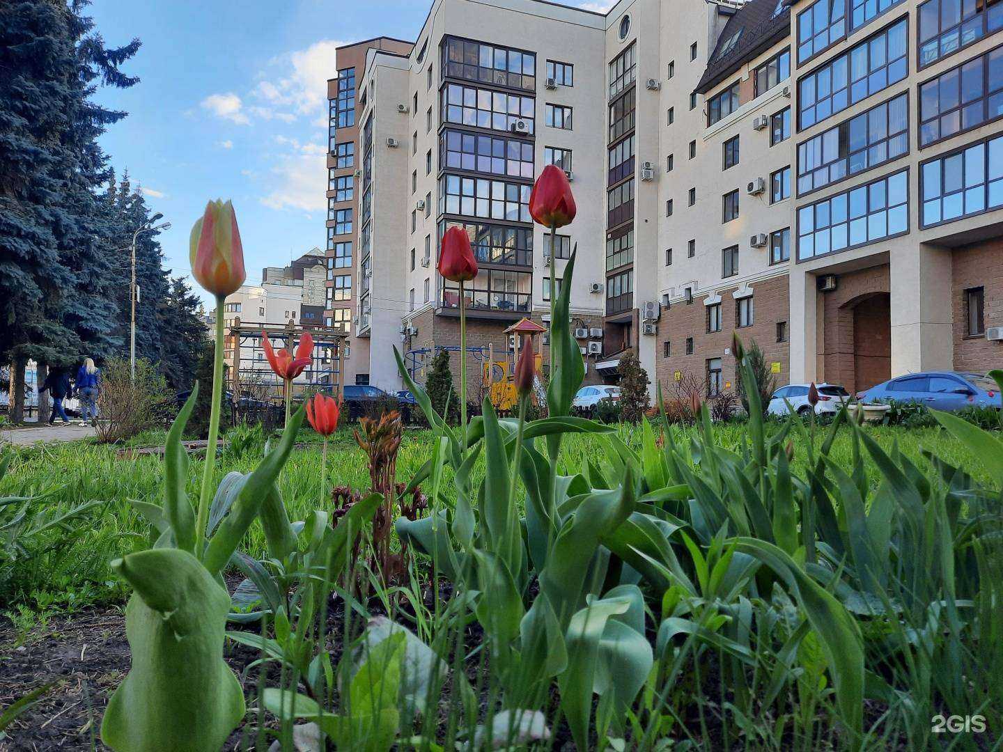 Отзывы на компанию Текон Сибирь в Уфе c фото - фотография 2 из 2