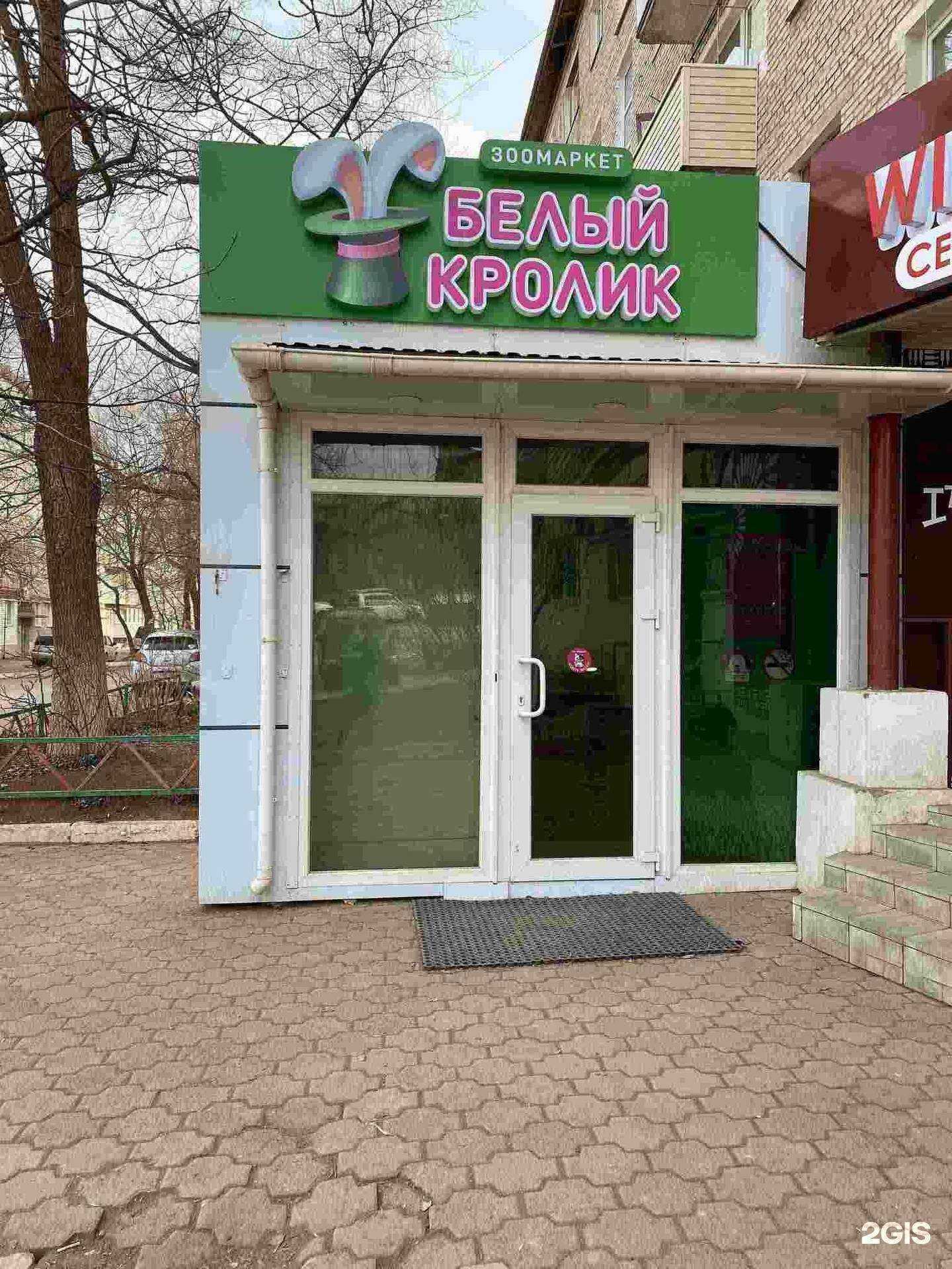 Отзывы на компанию Белый Кролик в Большое Камени c фото