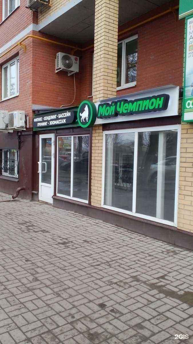 Отзывы на компанию Мой Чемпион в г. Тула c фото