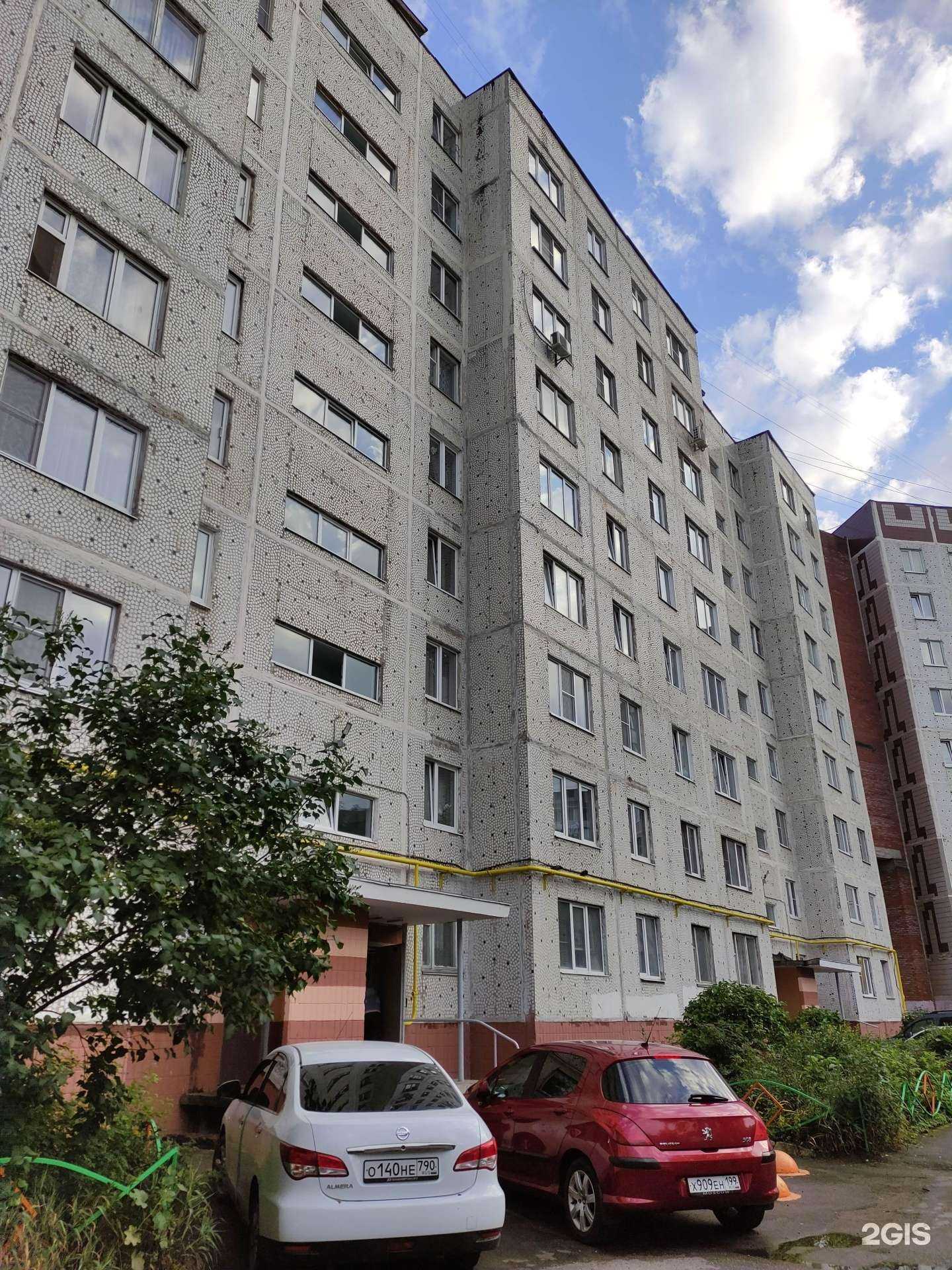 Отзывы на компанию Бобики и Котики в Ногинске c фото - фотография 2 из 2