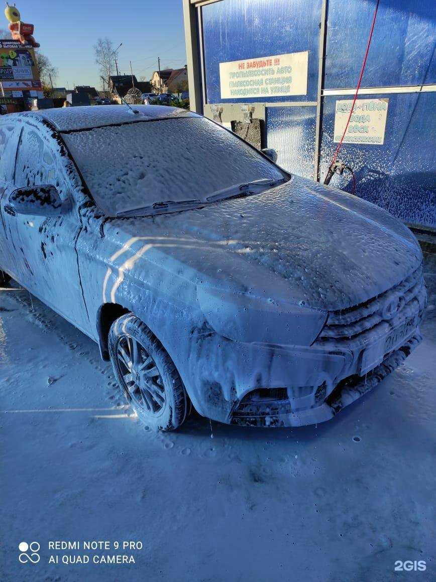 Отзывы на компанию Чистомытов в Отрадном c фото