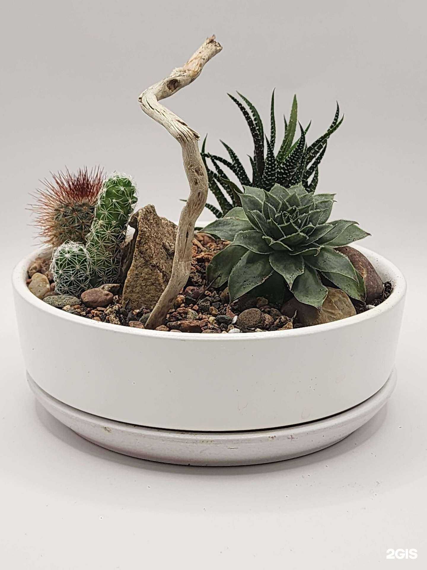 Отзывы на компанию Колючий лис в Туле c фото