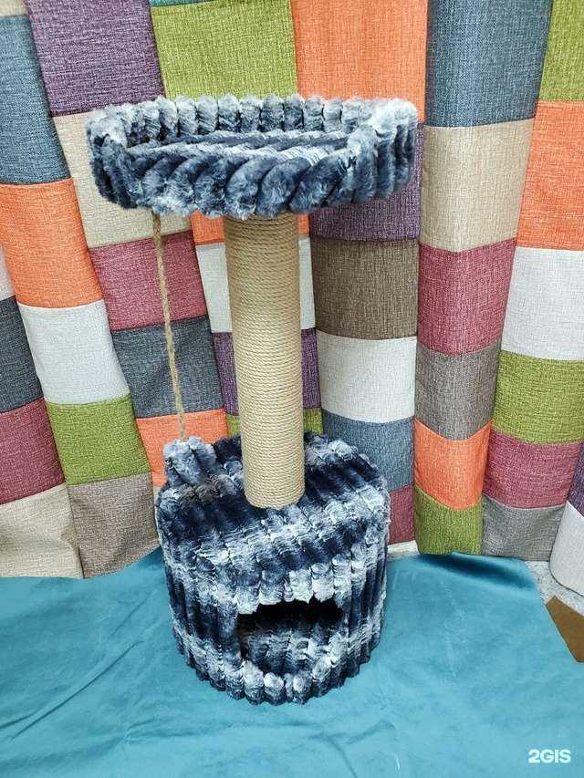 Отзывы на компанию Котодом42 в Кемерове c фото