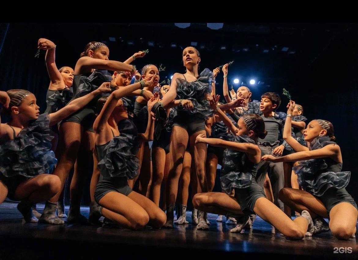 Отзывы на компанию Балет Dance fm в г. Кемерово c фото