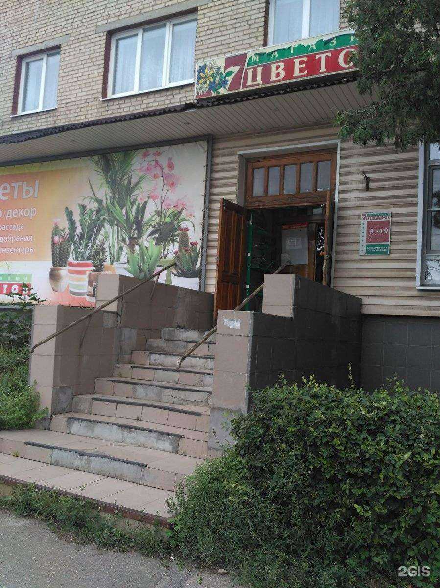 Отзывы на компанию 7 цветов в Новомосковске c фото